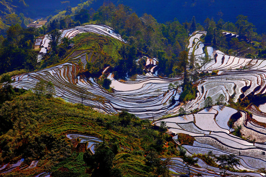 元陽(yáng)梯田