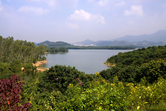湖景