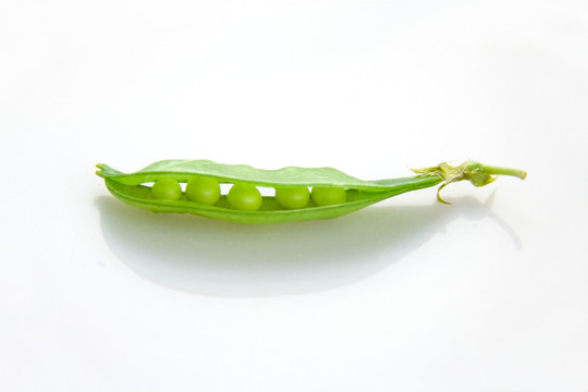 荷蘭豆