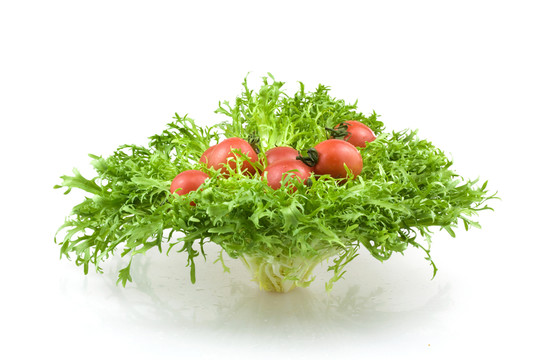狗芽菜