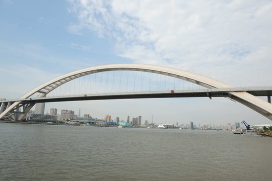 上海世博盧浦大橋