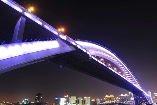 上海世博盧浦大橋
