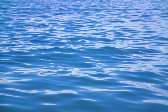 海洋