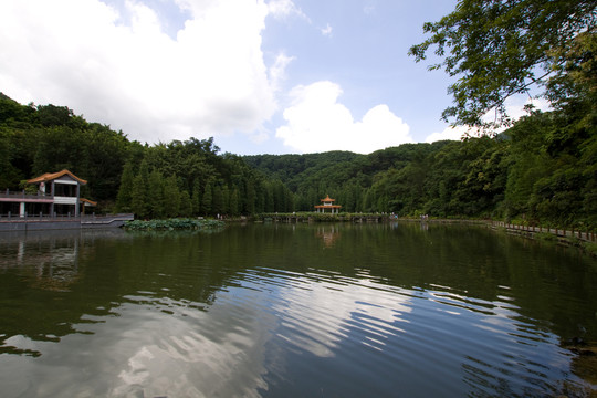 美麗風景