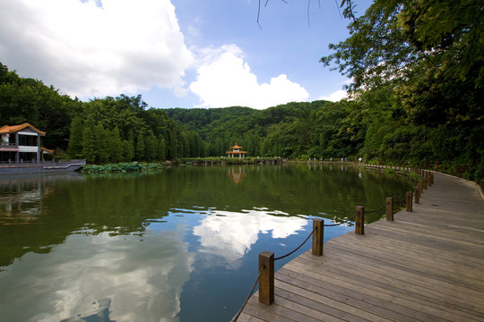 仙湖