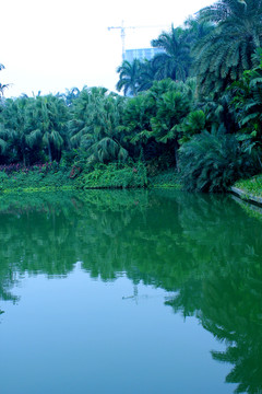 湖景