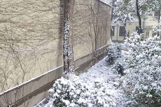 總統(tǒng)府雪景