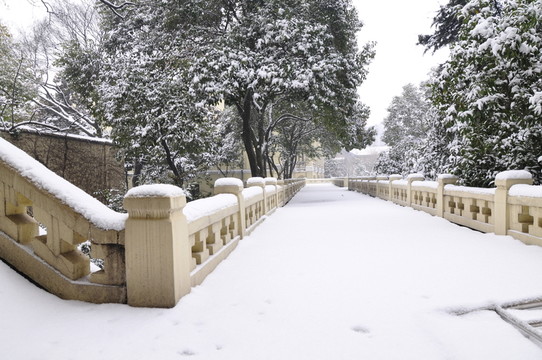 總統(tǒng)府雪景