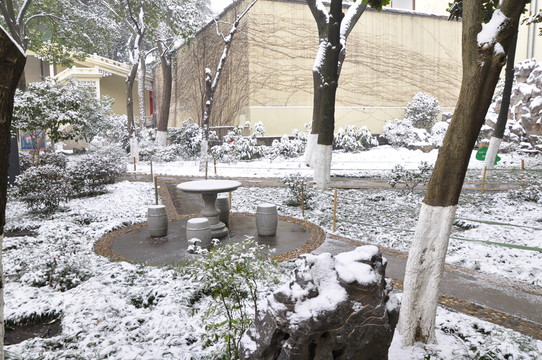 總統(tǒng)府雪景