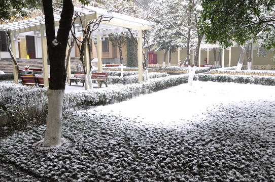 總統(tǒng)府雪景