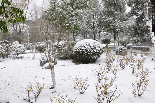 總統(tǒng)府雪景