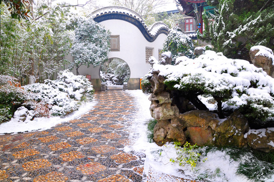 總統(tǒng)府雪景