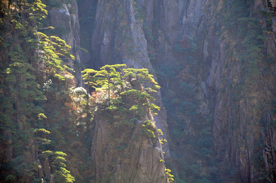 黃山奇峰