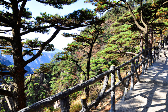 黃山風(fēng)景