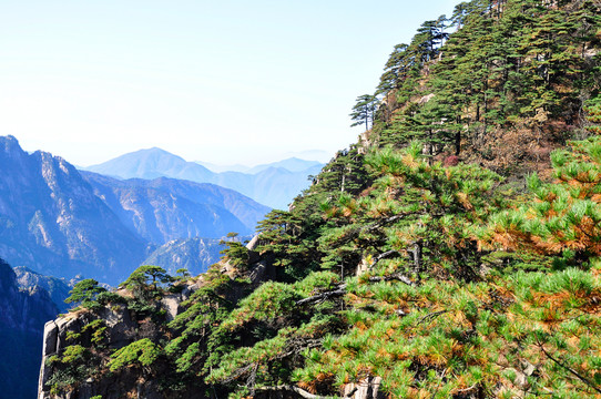 黃山奇峰