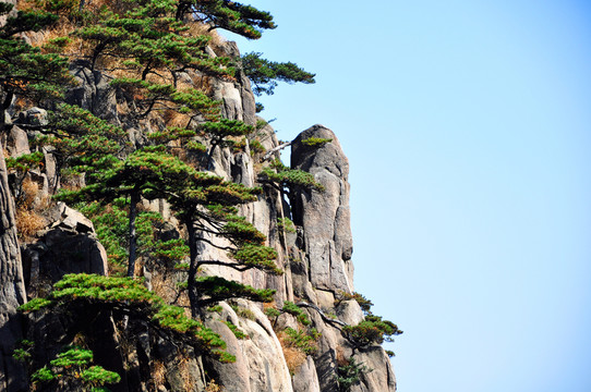 黃山奇石