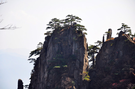 黃山奇峰