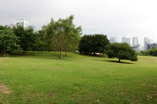 公園風(fēng)景