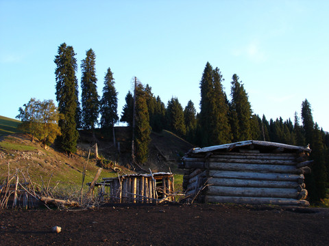 林間小屋