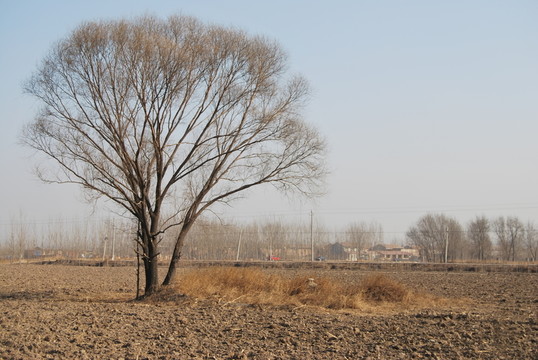 冬天的鄉(xiāng)村