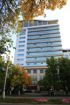 城市