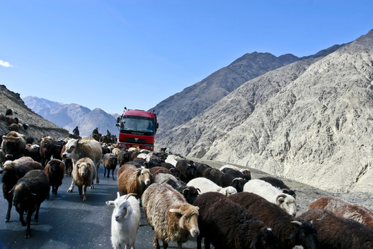 獨(dú)庫公路