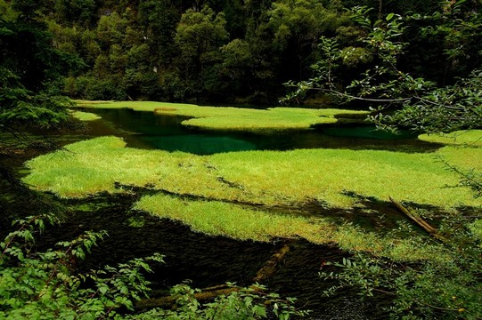 九寨溝風(fēng)光