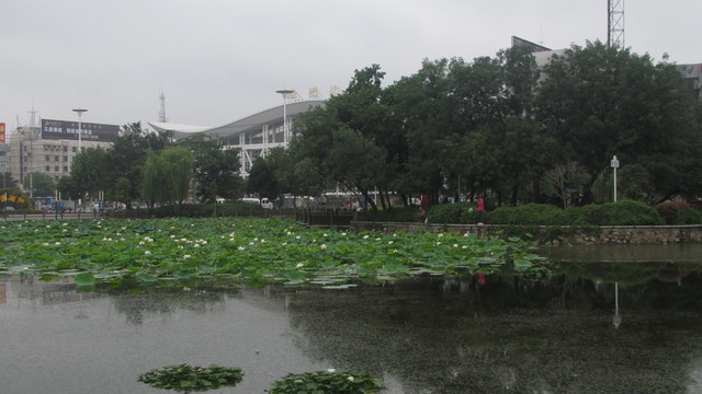 滁州北站 蓮心湖 公園