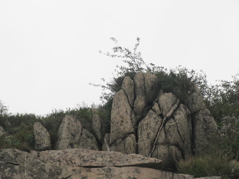 泰山雄姿