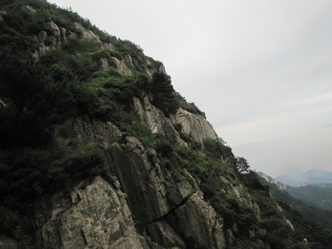 泰山