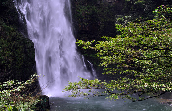 公園風(fēng)景