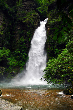 公園風(fēng)景