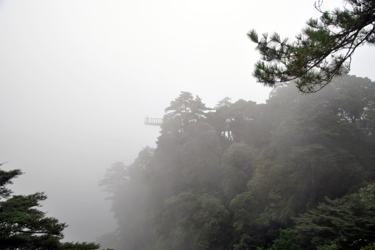 公園風(fēng)景