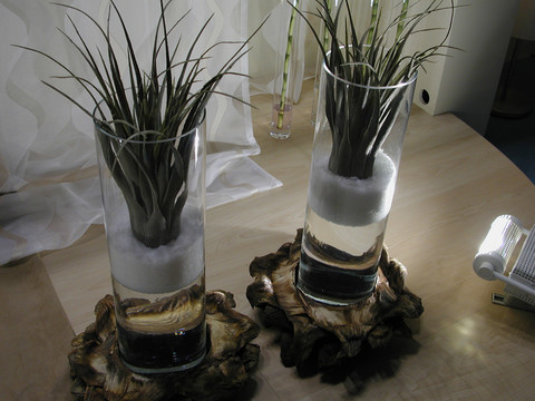 插花藝術(shù)