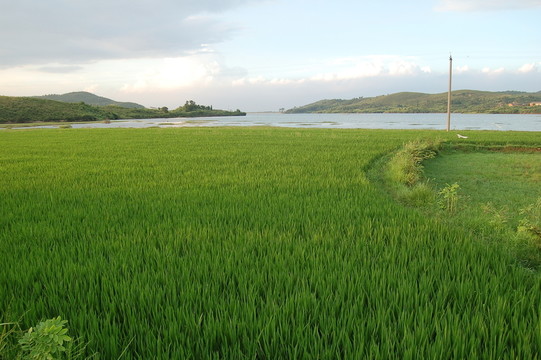 田園風(fēng)光