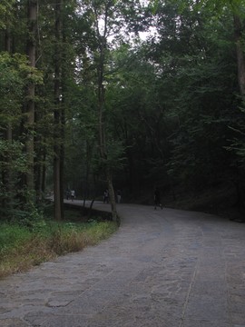 瑯琊山路 峰回路轉(zhuǎn)