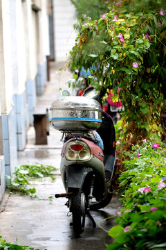 摩托車