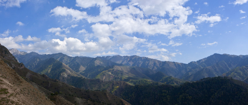 青山