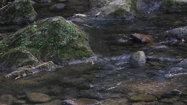 瑯琊山溪流 幽香谷 玻璃沼