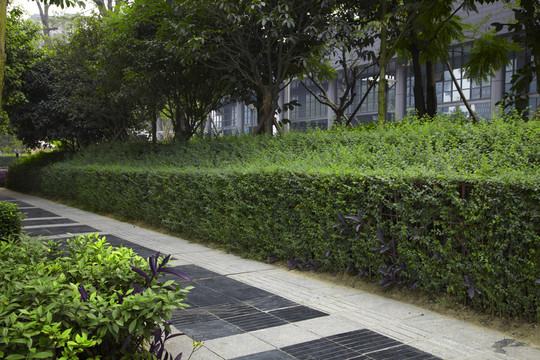 人造花園綠化園林景觀