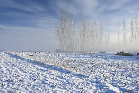 冬雪
