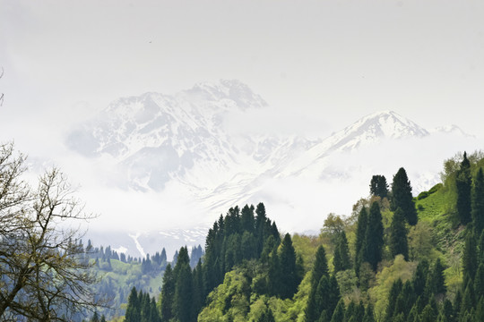 天山