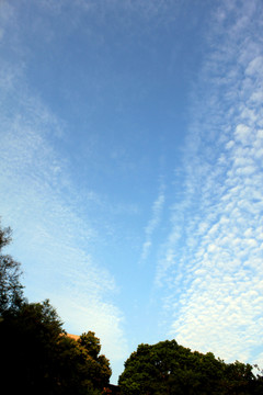 藍(lán)天
