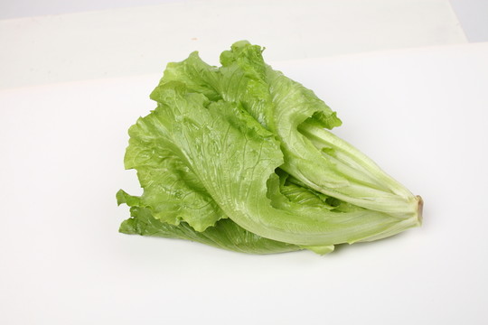 生菜