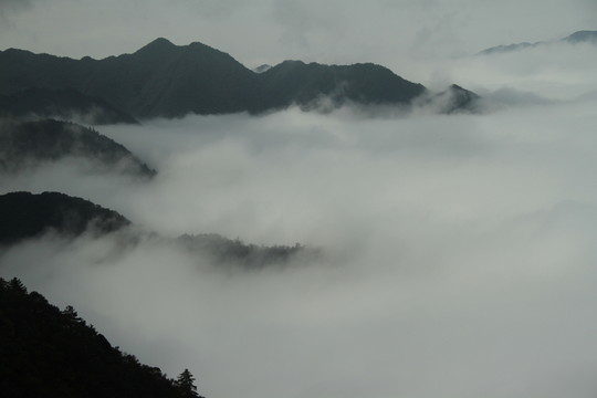 井岡山風(fēng)光