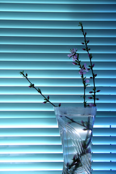 花卉