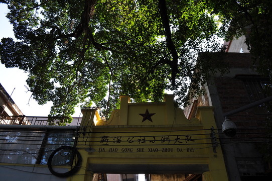 小洲村榕樹(shù)
