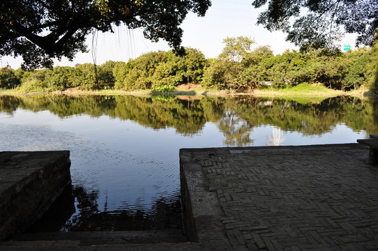 小洲村