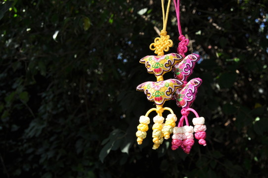 蝴蝶花 蝴蝶結(jié) 荷包