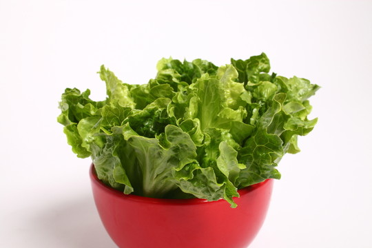 蔬菜